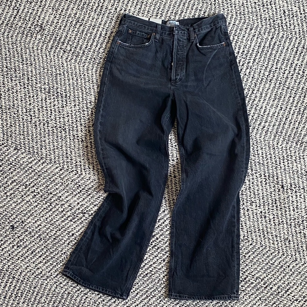 Agolde Low Slung Baggy Jeans in Paradox